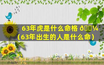 63年虎是什么命格 🐼 （63年出生的人是什么命）